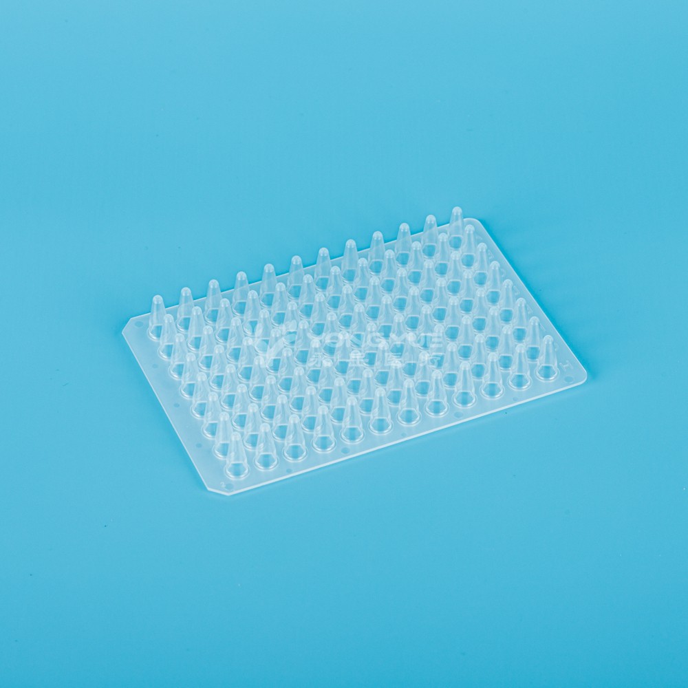 0.1ml 96孔PCR板无裙边 透明