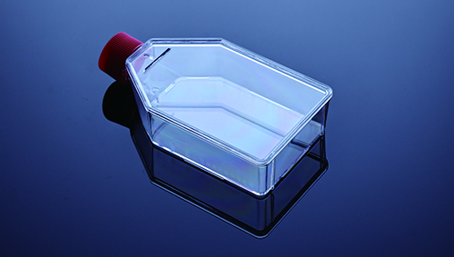 细胞培养瓶