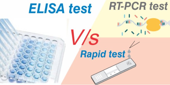 为什么 ELISA 检测优于快速检测或 RT-PCR 检测