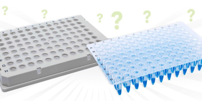 PCR 和 qPCR 有什么区别？