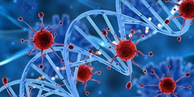 细胞培养在基因疗法中的重要性