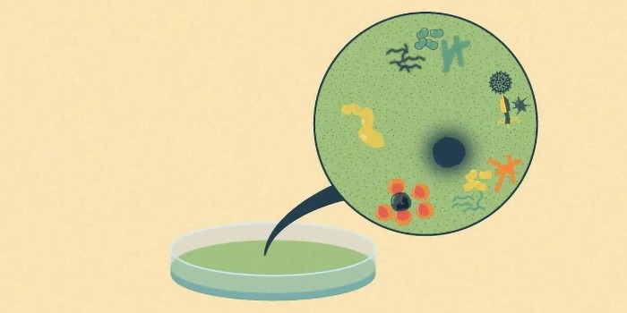 如何防止细胞培养物污染