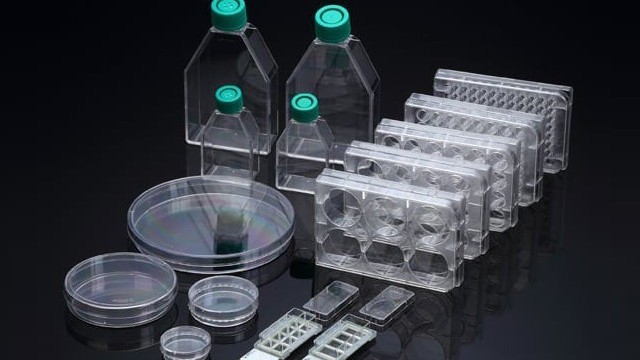 哪种细胞培养塑料更适合培养哺乳动物细胞？