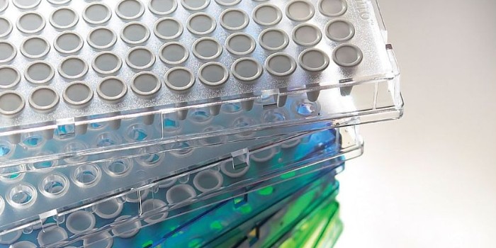 打破片段PCR限制，384孔PCR板引导高通量基因分析时代